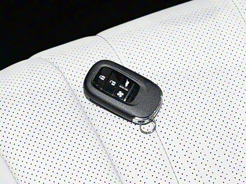 2025�� ����������Pro