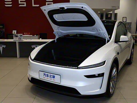 2025�� �������� �׷���