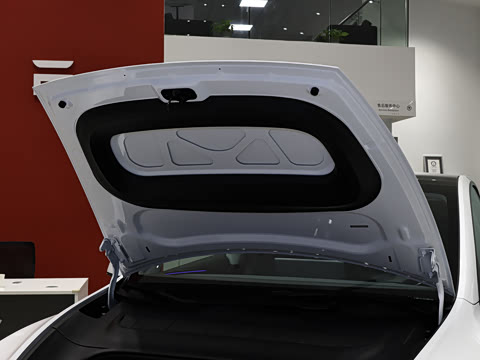 2025�� �������� �׷���