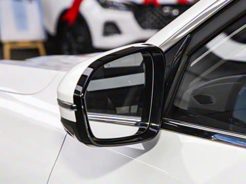 2025�� 290TGDI DCT������ 7��