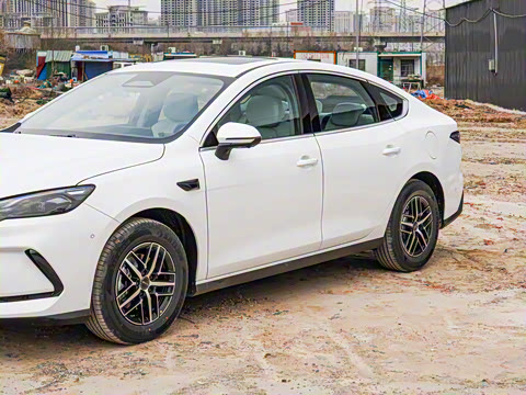 2025�� DM-i �Ǽݰ� 55KM�����