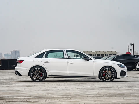 2025�� 200���������� 45 TFSI quattro ��ѡ������