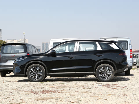 2025�� �ڶ��� DM-i 115KM��Խ��