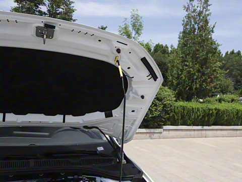 2025�� �Ŀ�� 300TSI DSG׿Խ��