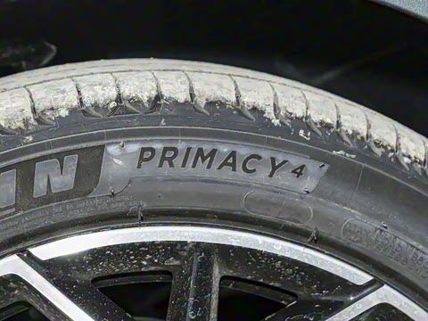 2025�� �������̰� 230�콢��