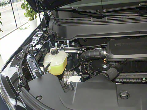 2026�� 165km ������������ 5��