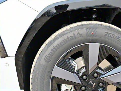 2025�� �����߰�