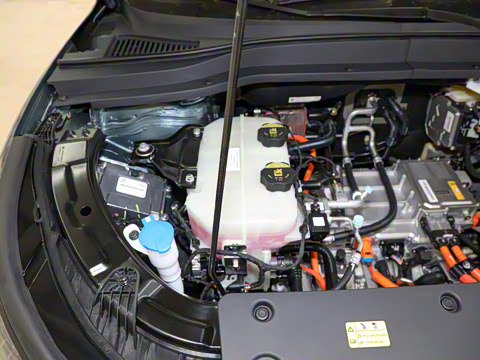 2025�� 565km ������