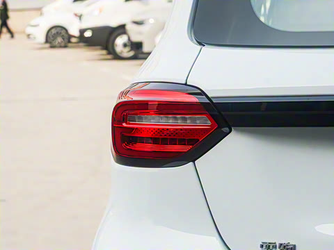 2025�� 310������