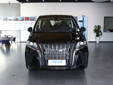 2025�� 2.0L �Զ���������� 7��