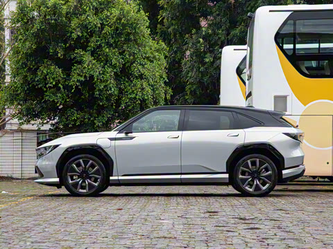 2025�� ����������Max