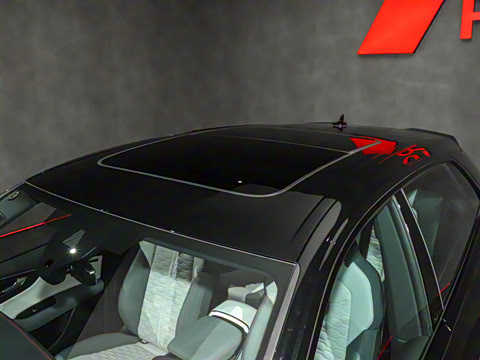 2025�� RS Q8 4.0T 45��������