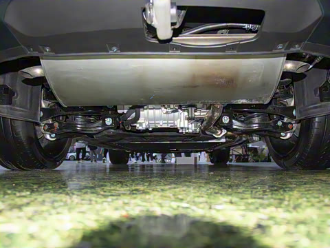 2025�� DM 175KM���˻���Ұ�