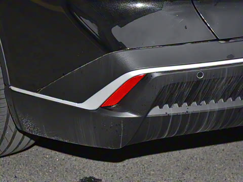 2025�� ���羫Ӣ��