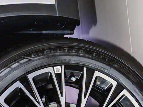 2025�� 300T ������Խ��