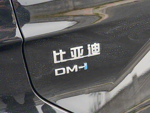 2025�� DM-i �Ǽݰ� 112KM �����