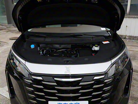 2025�� DM-i 1.5T 100km ��Խ��