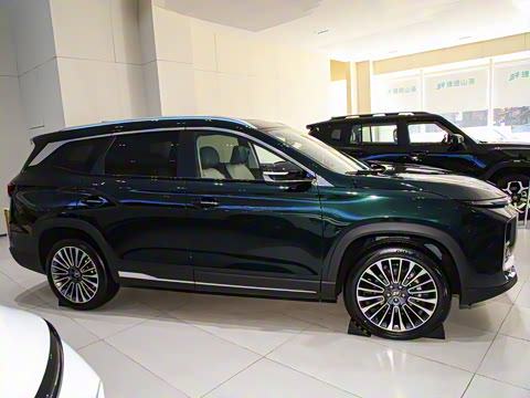 2024�� 1.5TD 2DHT Max 5��