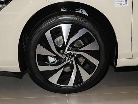 2025�� 300TSI Pro