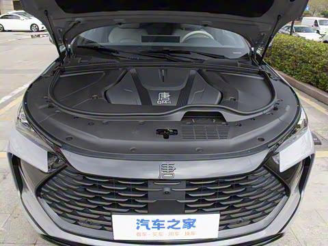 2025�� �Ǽݰ� DM-i 115KM �����