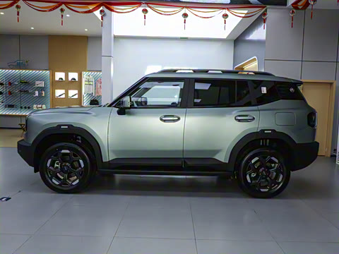 2025�� 2.0TD XWD����