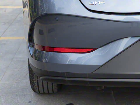 2025�� DM-i �Ǽݰ� 55KM������