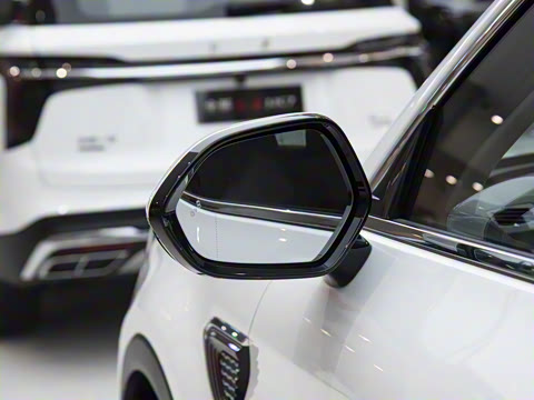 2025�� 2.0T ��������Pro��