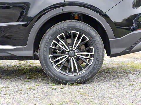 2024�� �ھ��� 1.5T �ֶ��ھ� 5��