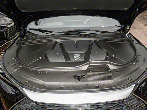 2025�� �Ǽݰ� DM-i 115KM �����