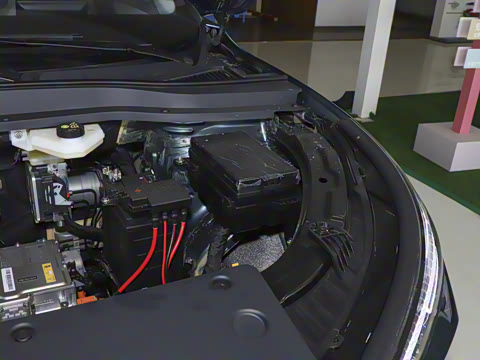 2025�� 565km ������