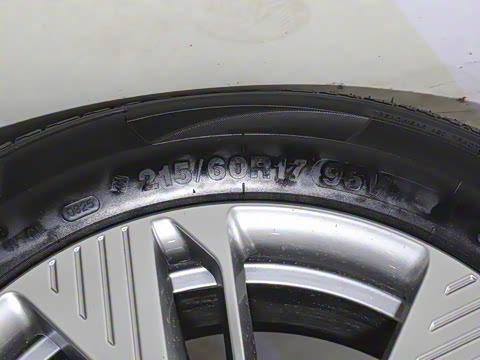 2025�� 565km ������