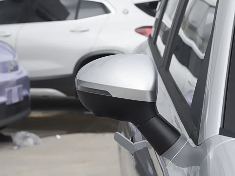 2025�� 305km ������