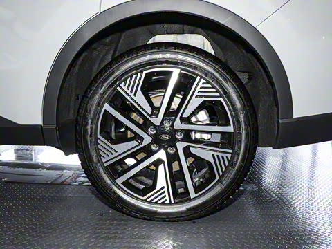 2025�� ������