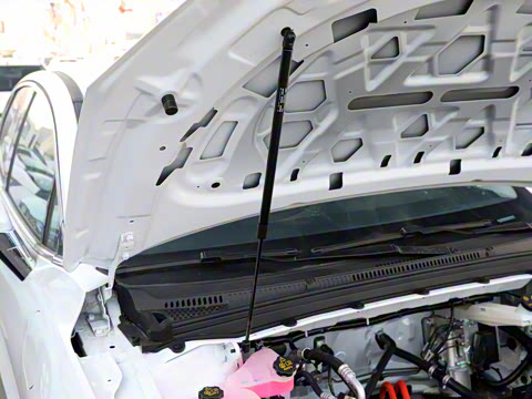 2025�� ���05 ������