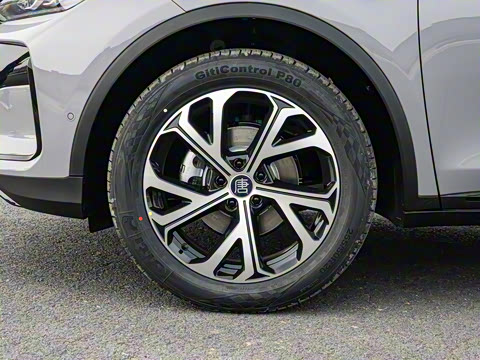 2025�� �Ǽݰ� DM-i 115KM �콢��