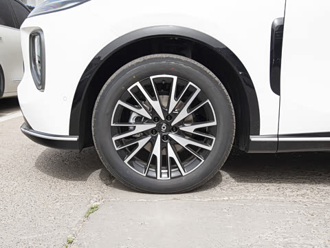 2025�� 215�콢��