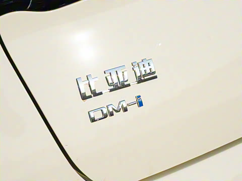 2025�� DM-i �Ǽݰ� 120KM������