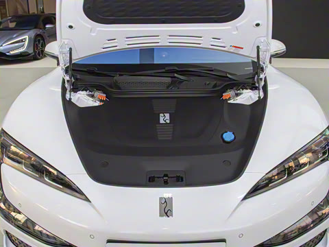 2025�� EV ����������