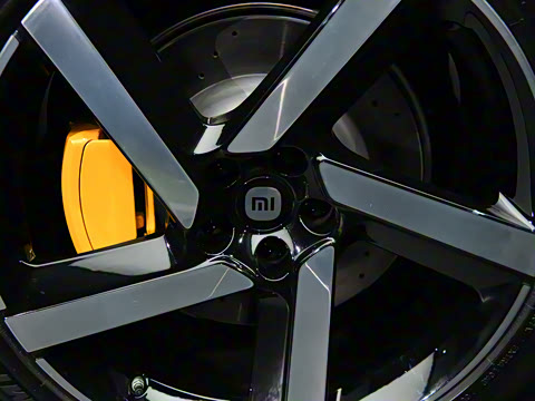 2025�� ������������������Max��