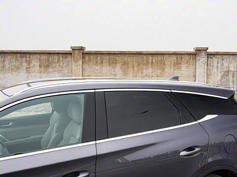 2025�� �Ǽݰ� DM-i 115KM ������