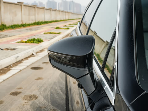 2025�� �Ǽݰ� DM-i 115KM ������