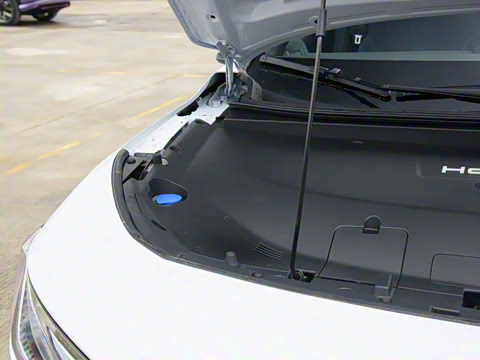 2025�� ����������Max