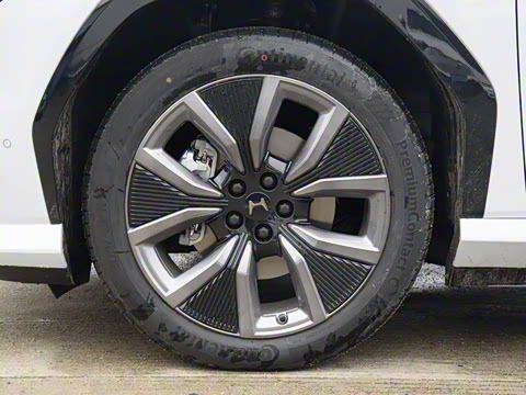 2025�� ����������Max