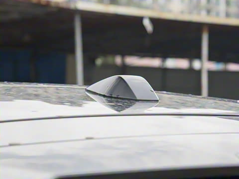 2025�� ����������Max