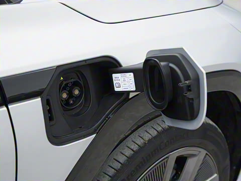 2025�� ����������Max