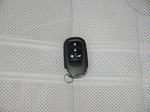 2025�� ����������Max