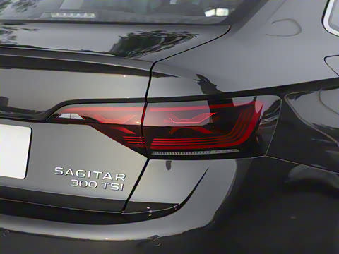 2025�� �Ŀ��� 300TSI DSG��Խ��