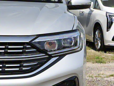 2024�� 300TSI DSG��Խ��