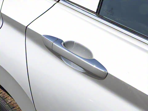 2024�� 300TSI DSG��Խ��