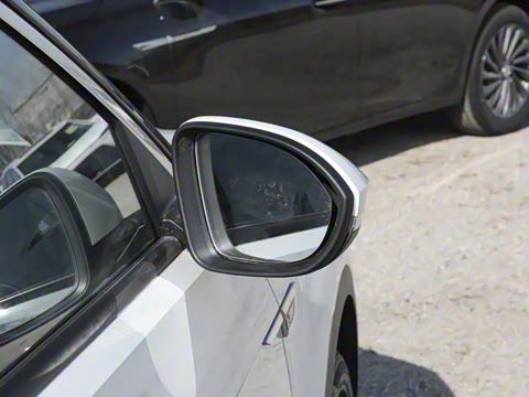 2025�� 300TSI DSG���������